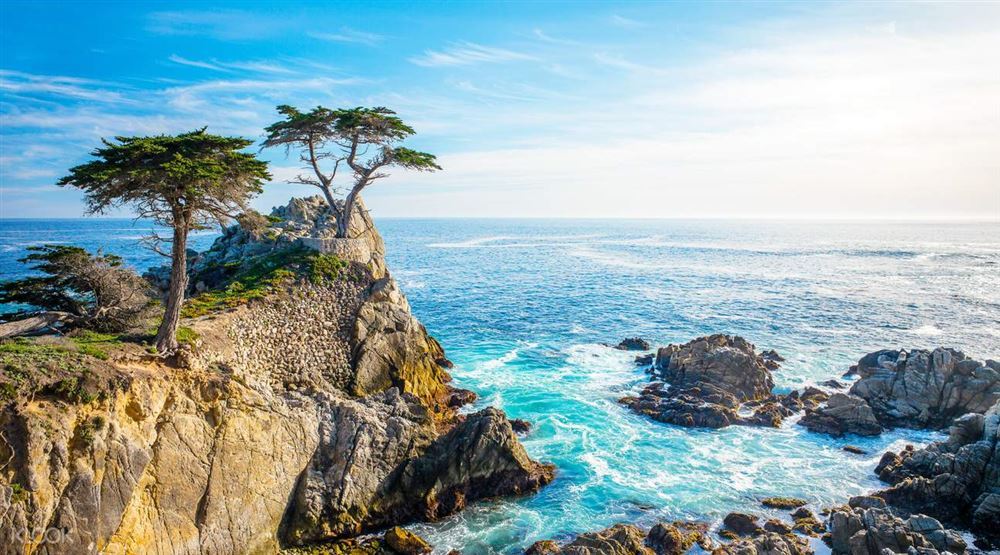 California - Beaches, Nature and Wine